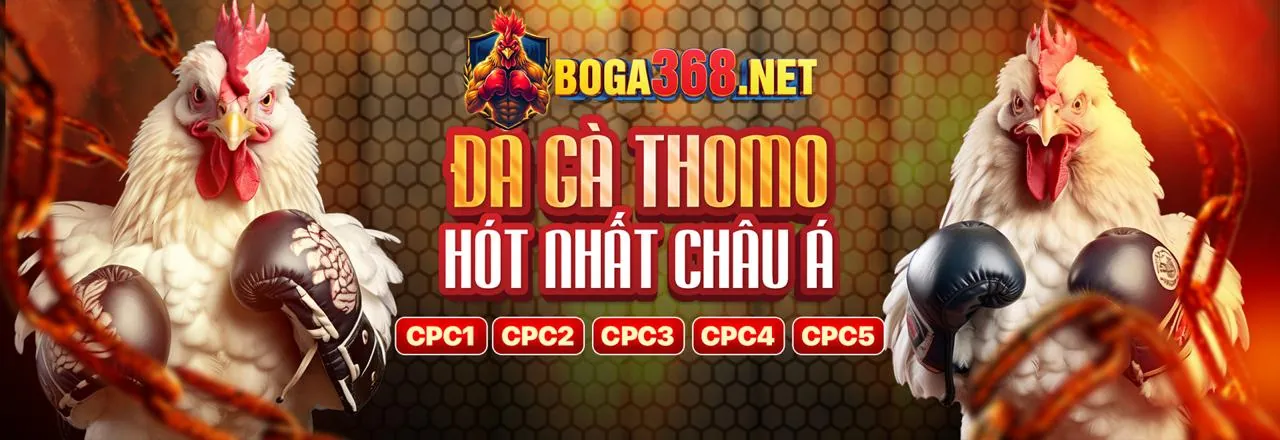 Đá gà trực tuyến s66 nhà cái với không khí sôi động